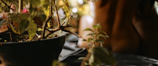 Andreia Horta nude – O Jardim Secreto de Mariana (2021)