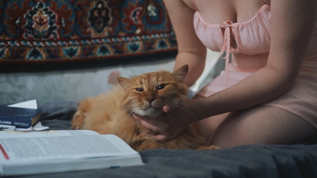 Polina Gukhman sexy – Kotostropha s01e01e01-09 (2023)