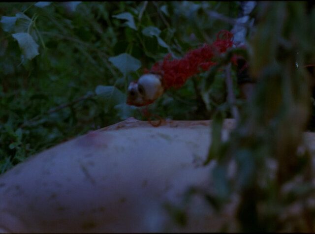 Eva Maloisel nude – Y a-t-il une vierge encore vivante (2015)