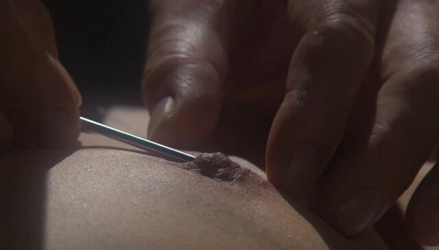 Aya Sugimoto nude - Flower and Snake (2004)