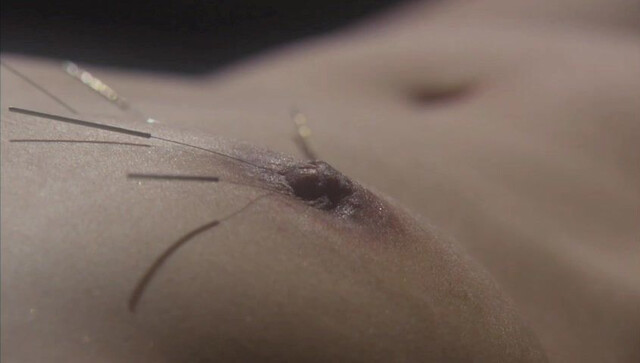 Aya Sugimoto nude - Flower and Snake (2004)