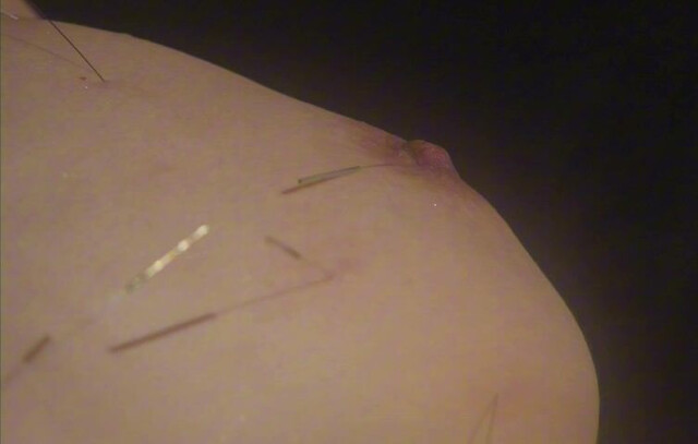 Aya Sugimoto nude - Flower and Snake (2004)